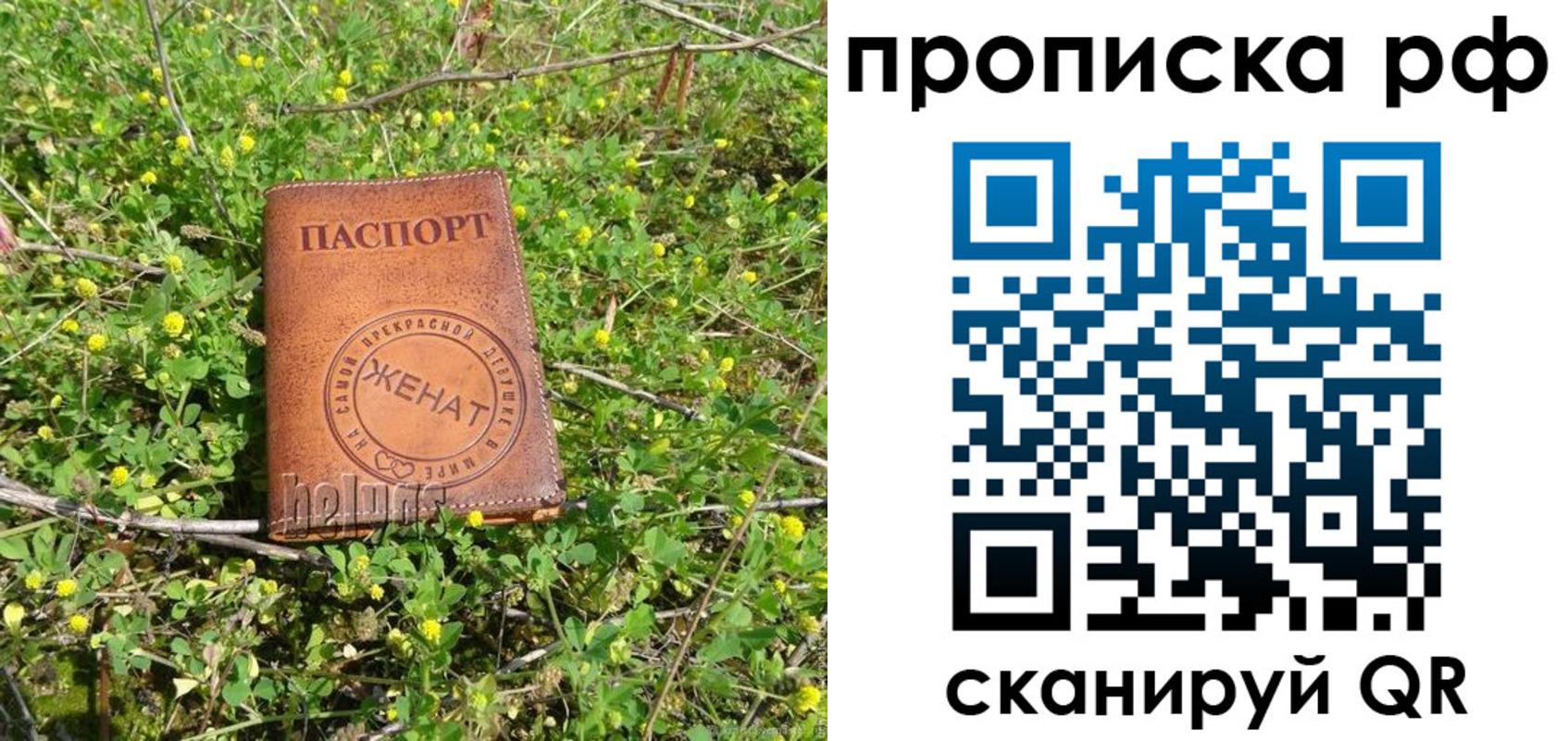 прописка паспорт в Орехово-Зуево